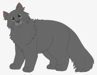 Recent Images - Cat Yawns