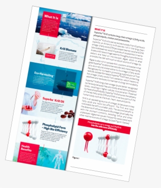 Superba Krill Brochure - Antarctic Krill