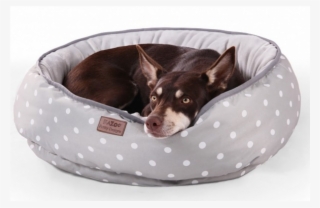 Vetopia Online Store