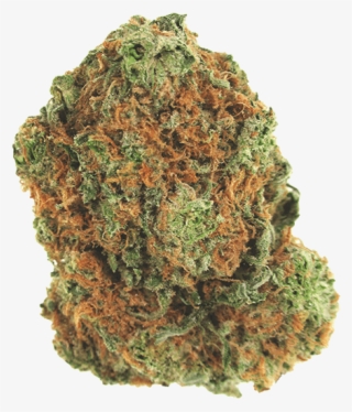Sugar Cookie Hybrid Cannabis Strain - Sugar Cookie