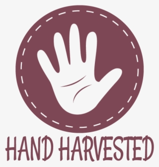 We Will Ship It Separately In 10 To 15 Days - Sign