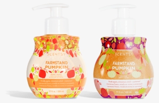 Handsoap & Lotion Bundle - Scentsy