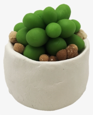 11 Colors Educational Creativity Slime Modeling Foam - Houseplant