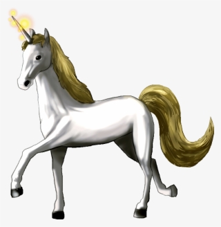 A Poor's Man Paladin With Basic Anti Undead And Anti - Age Of Fear 2: The Chaos Lord Gold