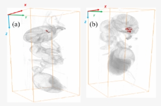 Three Dimensional X-ray Imaging Of Ucnps Inside Two - Common Fig