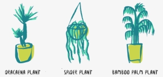 Here Are 6 Of The Best Plants Rated Out Of Five Stars - Illustration