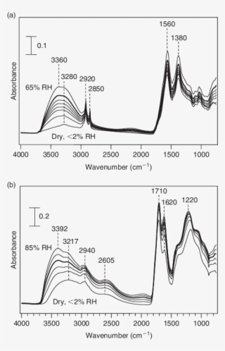 Download - Fourier-transform Infrared Spectroscopy