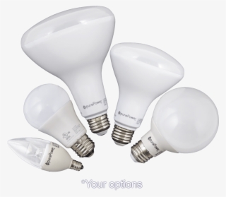 Incandescent Light Bulb