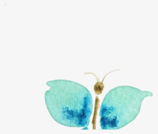 Original - Transparent Watercolour Clipart Png