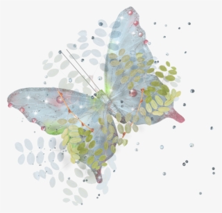 Visit - Gonepteryx Rhamni