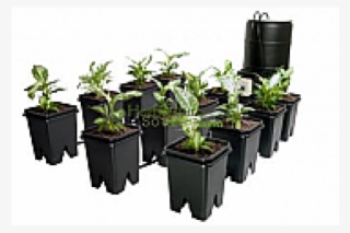 Active Aqua Grow Flow 5 Gallon System