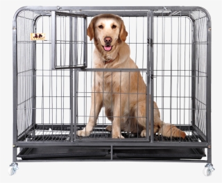 Huayuan Hoopet Square Tube Dog Cage Large Dog Jinmao - Dog