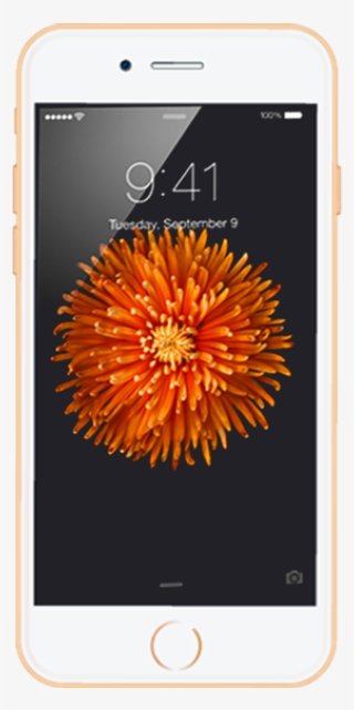 Iphone 6 Screen Repair Pan Mobile - Mobile Phone