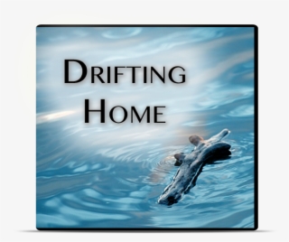 Drifting Home - Piece Of Driftwood In Water