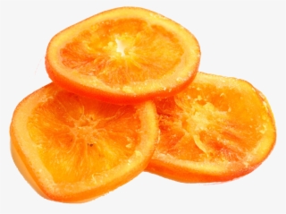 Orange Slices Image - Gin Garnishes