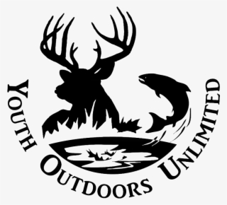 Silhouettes Of Buck Deer