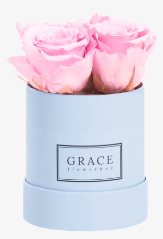 Grace Flowerbox 1 Rose