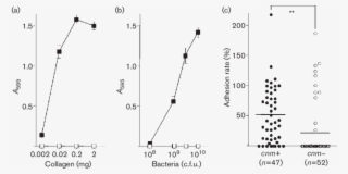 Collagen-binding Properties Of S - Diagram