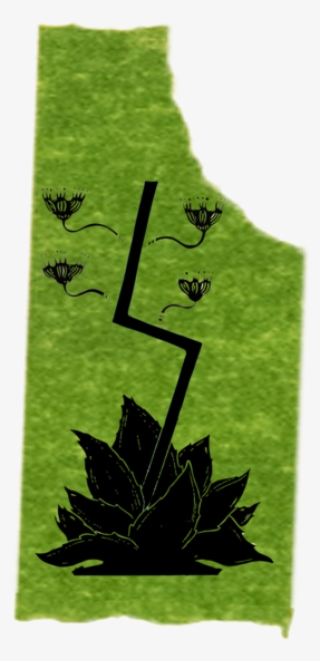 Leaf Village Symbol Png
