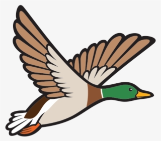 Goose Clipart Bird Fly - Mallard Ducky Clipart