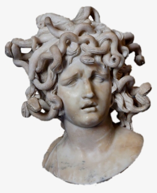 Report Abuse - Medusa Gian Lorenzo Bernini