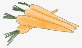 Rosie Bear Messages Sticker-9 - Sticker