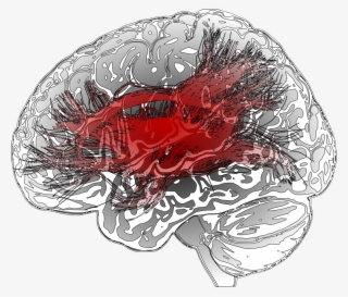 Medical Imaging