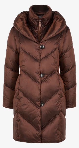 Coat With Noble Shine - Coat