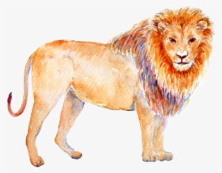 Leo - Astrological Sign Animals