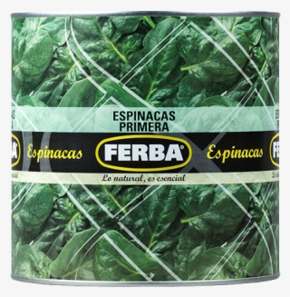 Spinach 2500g - Mexican Pinyon
