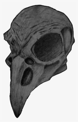 Bird Skull Png