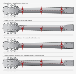 Asymmetric Neck Shapes 1 - Neck Shape Wide Thin