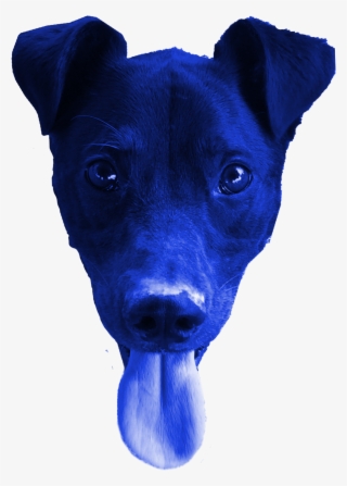 After Tinkering Around, I Settled On A Blue Color Palette - Feist