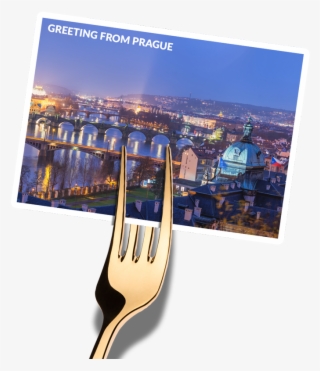 Trip For - Metropolitan Area