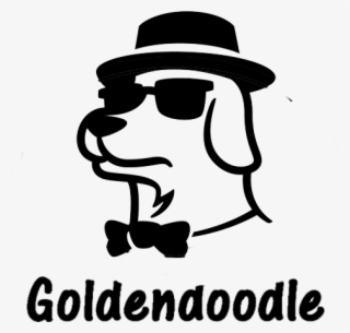 2019 Goldendoodle - Dog