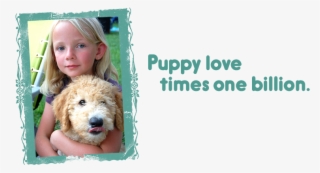 Puppy Love Times One Billion / Labradoodle Puppies - Puppy