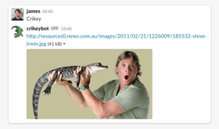 Crikey Slack Integration - Steve Irwin Crocodile Hunter Costume
