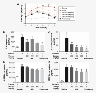 Total Igg And Cytokines In Peripheral Circulatory System - Diagram