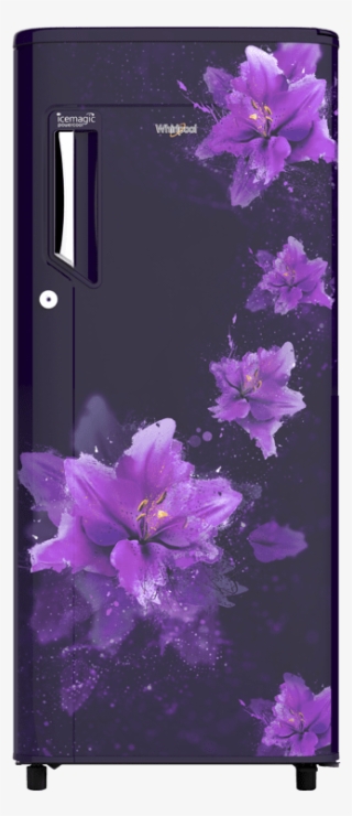 Whirlpool 200 L 4-star Refrigerator , Purple Splash)