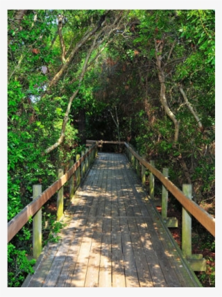 Beautiful 6 Bedroom Beach House - Boardwalk