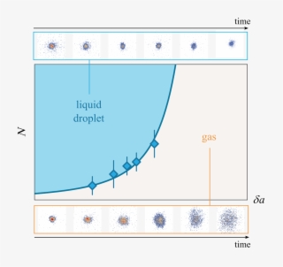 We Report On The Observation Of Quantum Liquid Droplets - Diagram
