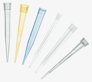Pipette Tips - Pipette