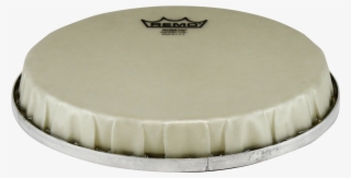 Remo R-series Nuskyn Bongo Drumhead, - Remo Nuskyn Conga Head