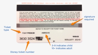 What's The Difference Between Magicbands And Cards - Diagram