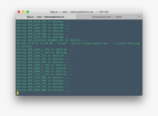 Script In Action - Scripting Language