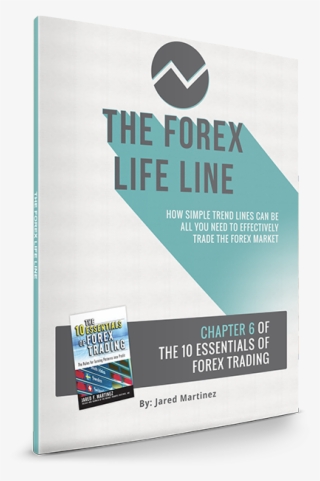 Forex Lifeline Spine - Conseil Général Lot Et Garonne