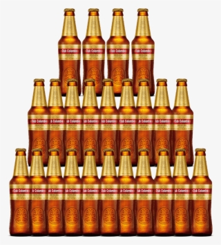 Club Colombia Dorada 24 Pack - Casual Tops For Girls