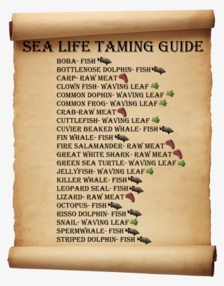 Old Paper Writing Frame