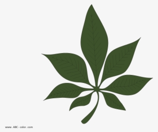 Лист Каштана Http - Лист Каштана Рисунок