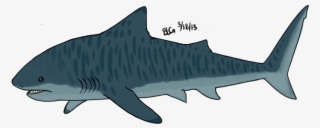 Cartoon Picture Of Tiger Shark